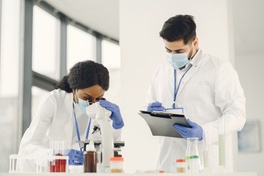 Life sciences researchers collaborating